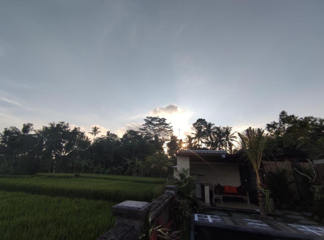Anggarakasih Ubud Villa Extérieur photo