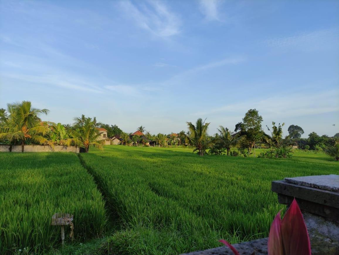 Anggarakasih Ubud Villa Extérieur photo